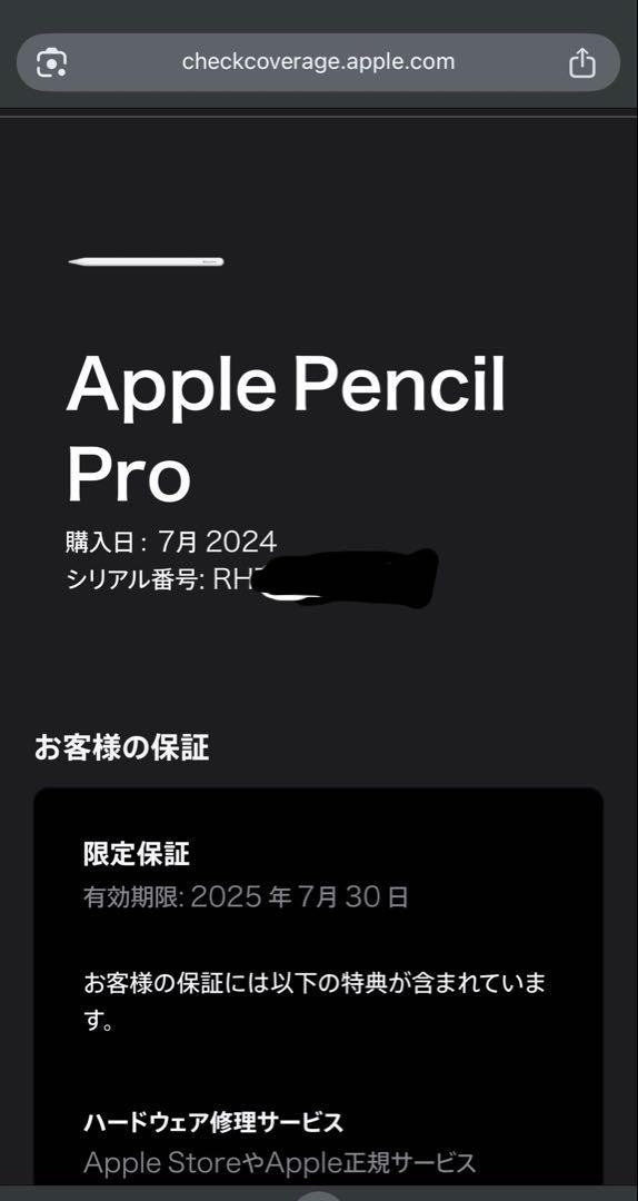 極美品】Apple Pencil Pro （アップルペンシル プロ 2024)