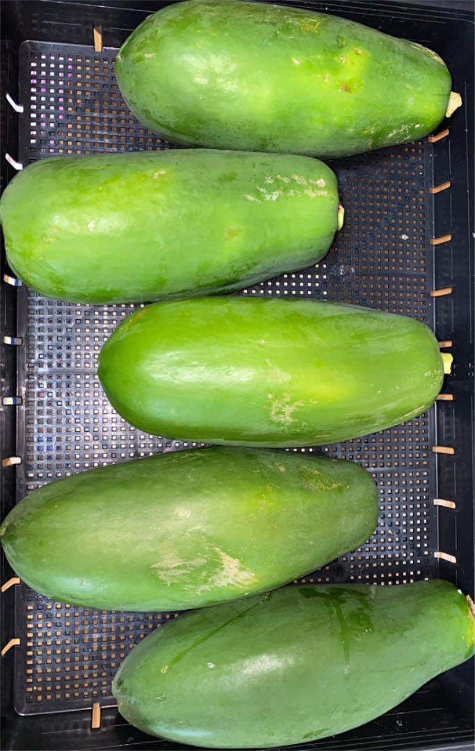 沖縄県産青パパイヤ箱込み10Kg ⚠️傷ありなので割引商品 fPwu9-m31785564818 細長いタイプ お得格安