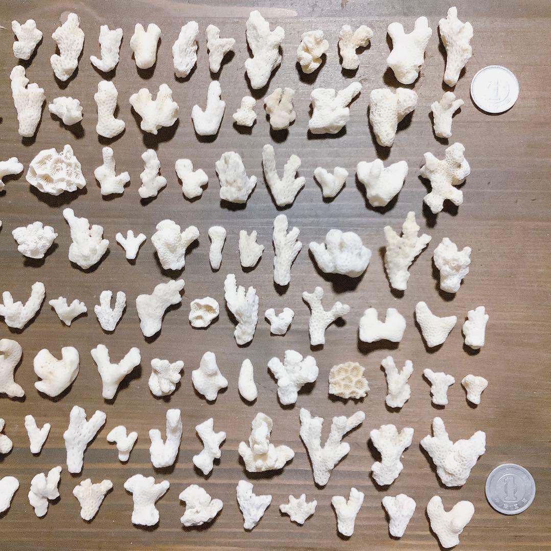 きき　*・:*+.様専用ページ