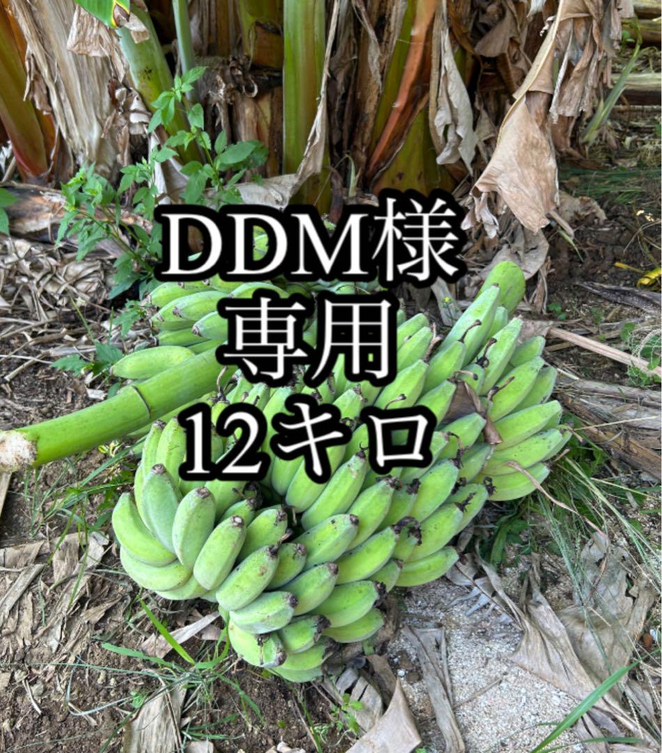 【DDM様専用】アップルバナナ・島バナナ☆リメインダーバナナ☆12キロ