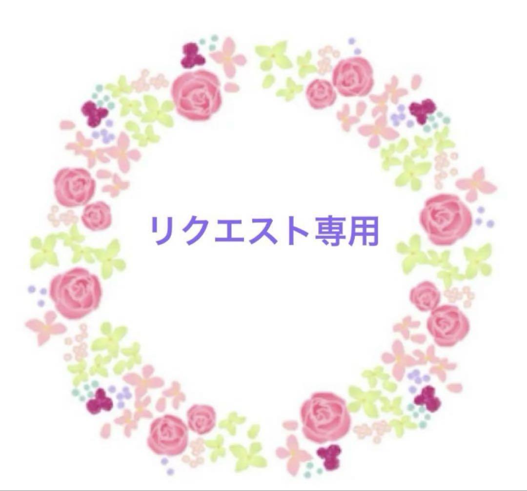 inuinu様専用ページ 羊毛フェルト