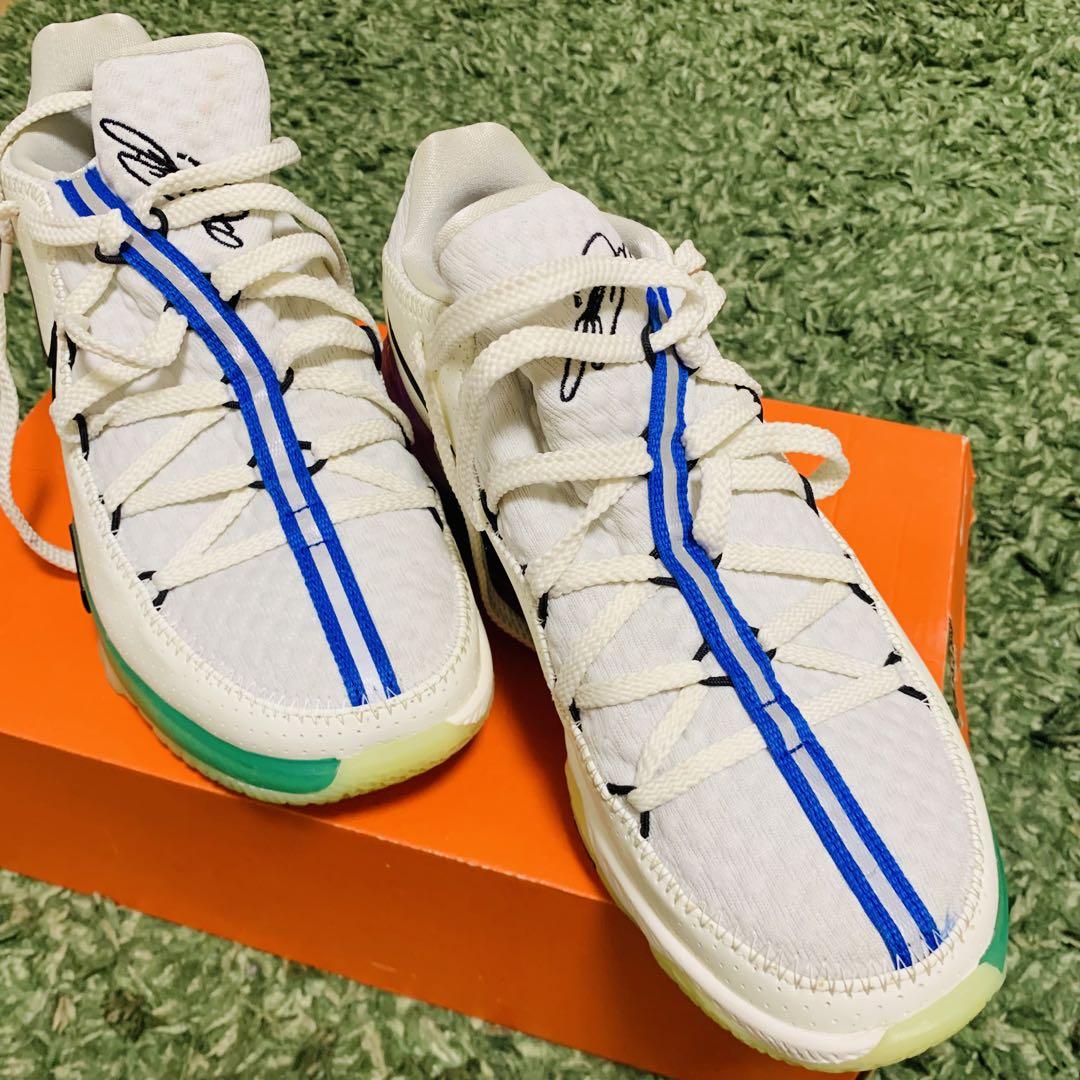 LeBron 17 lowバッシュ
