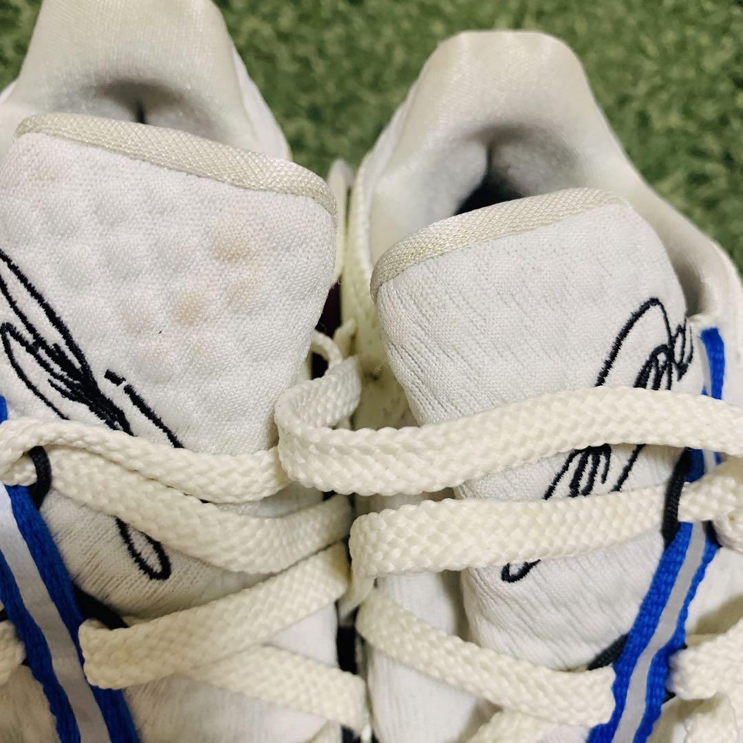 LeBron 17 lowバッシュ