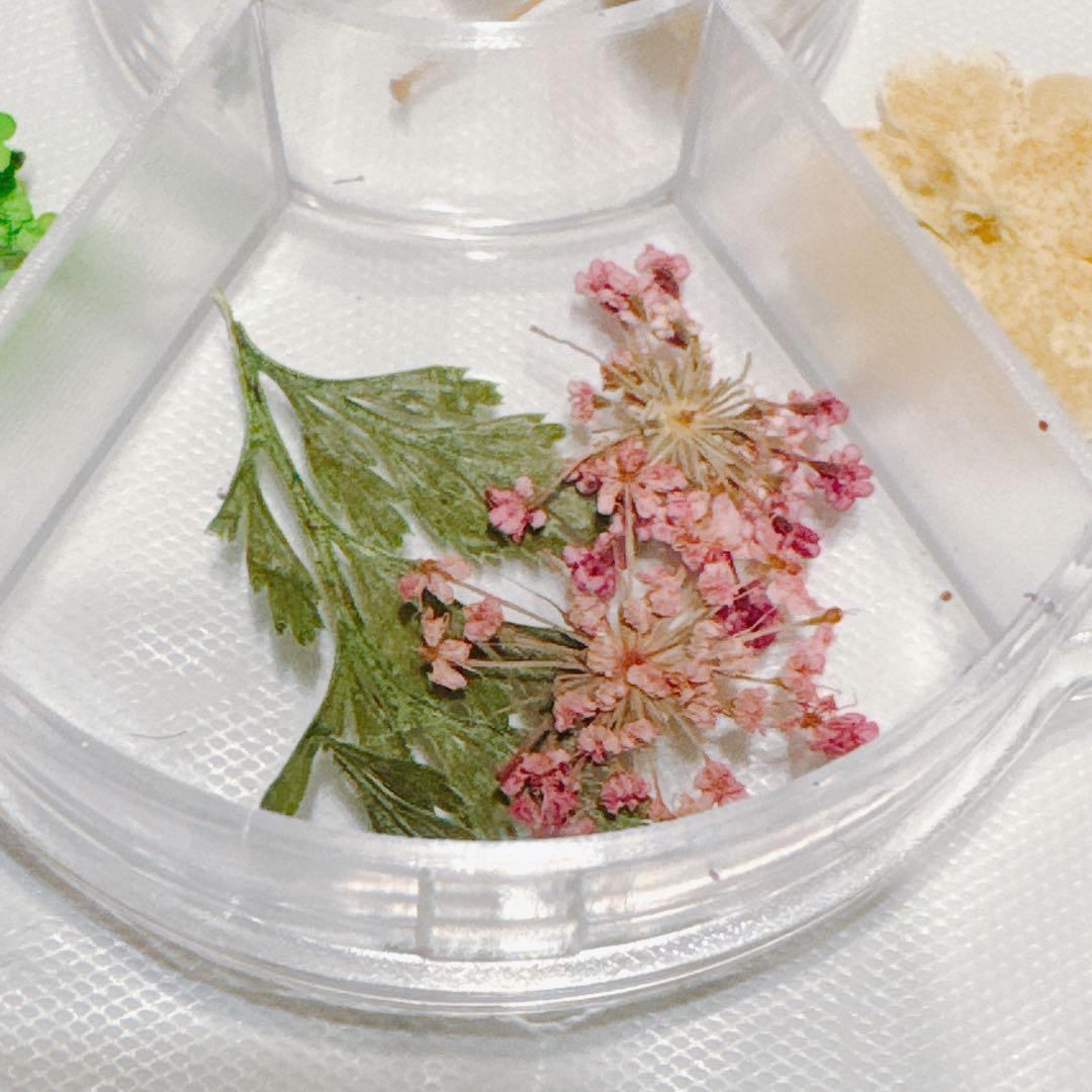 ボックス入り ドライフラワー