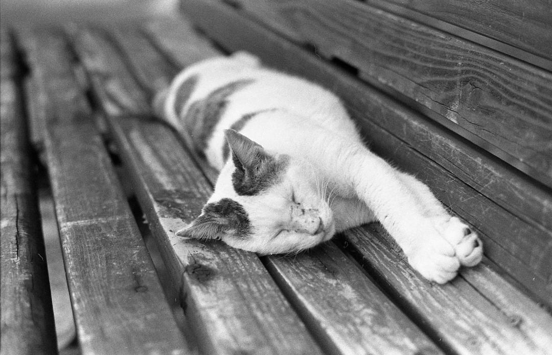 ●整備済 PENTAX MX 黒 /SMC  PENTAX 55mm F1.8
