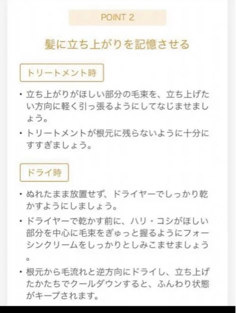 エステシモ　フォーシン　ヘアクリーム　70g×2