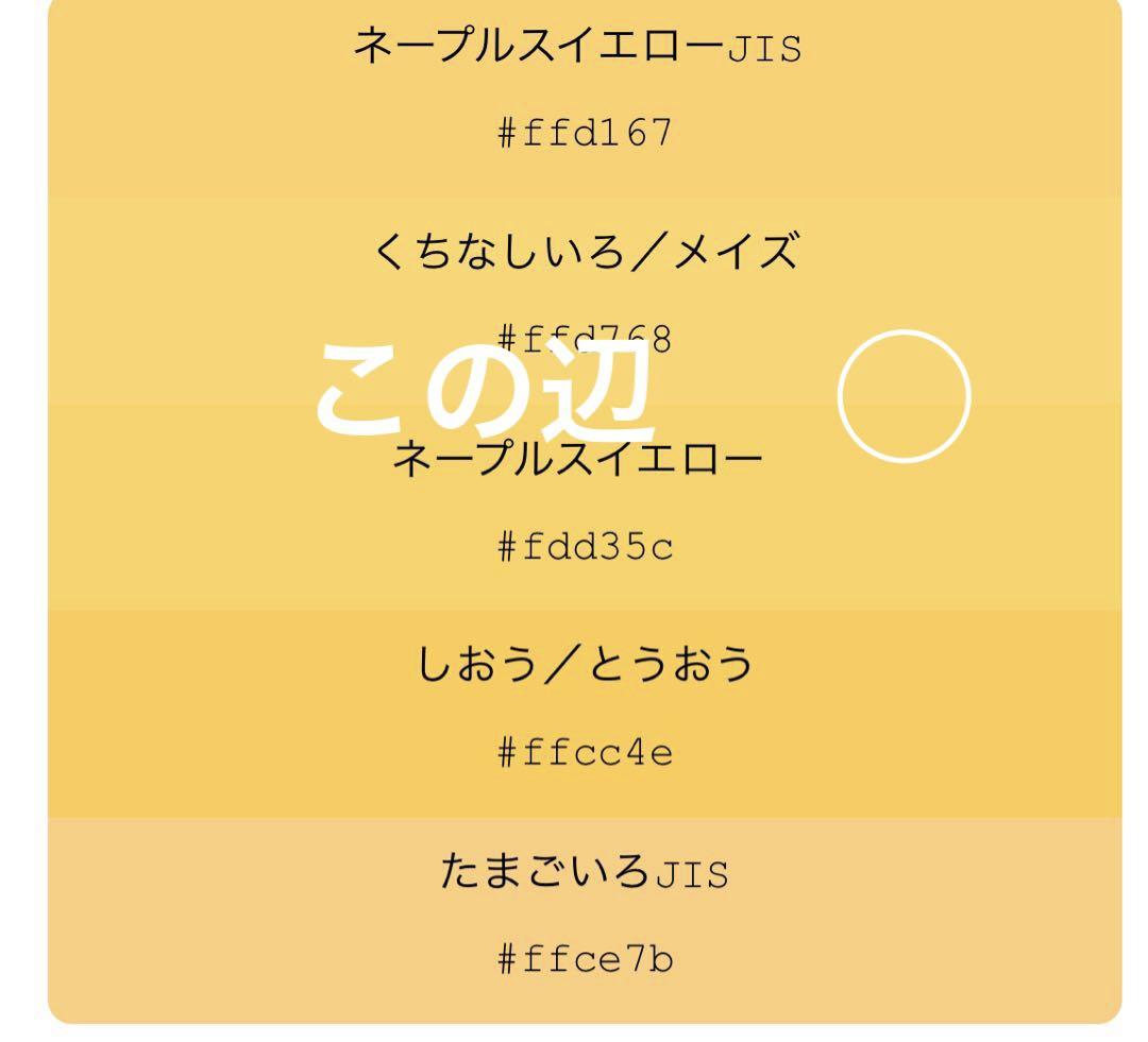 訪問着 橘流水 目玉❣️