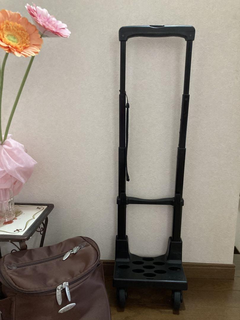 中古品　スワニー SWANY キャリーバッグ