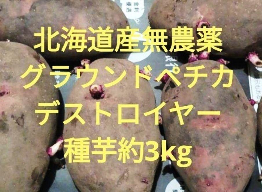 農薬・栽培期間中不使用北海道産無農薬グラウンドペチカデストロイヤー種芋約3kg
