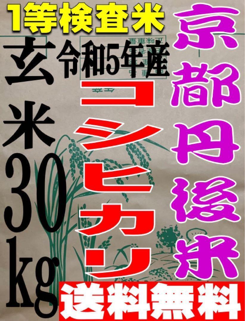 送料無料 一等検査 玄米 新米 令和5年産 京都 丹後 米 コシヒカリ 30kg