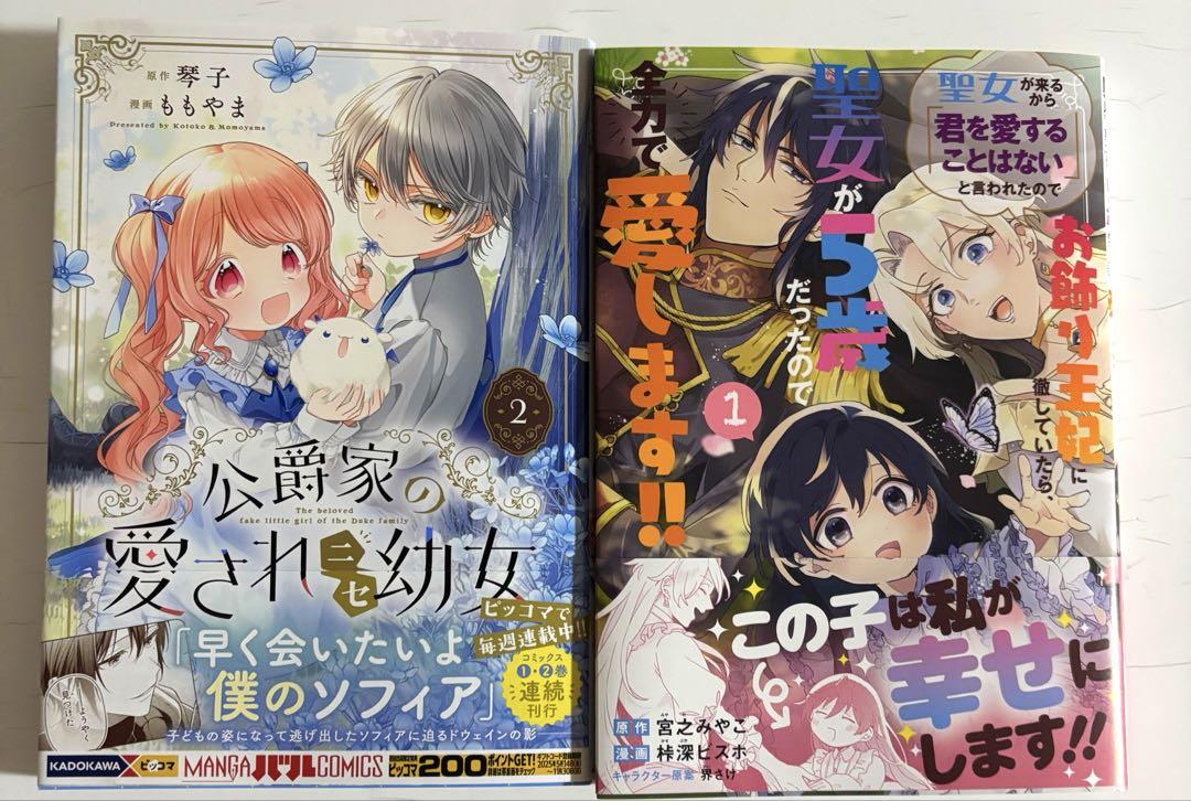 君を愛することはない」と言った氷の魔術師様 おまとめ専用 ①
