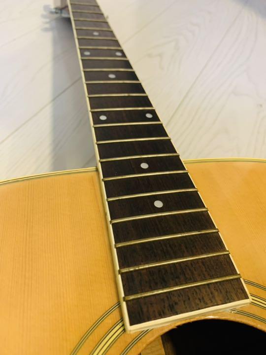 爆買い好評 Morris アコースティックギター newHM-m31936149803 w-25 大人気通販