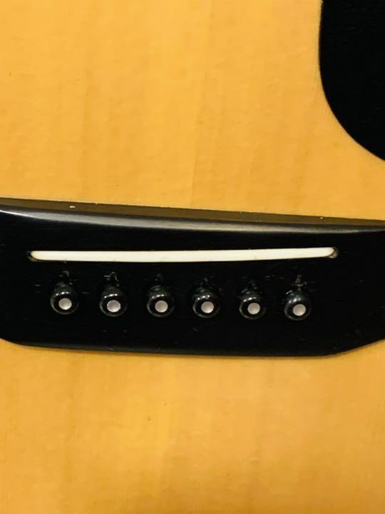 爆買い好評 Morris アコースティックギター newHM-m31936149803 w-25 大人気通販