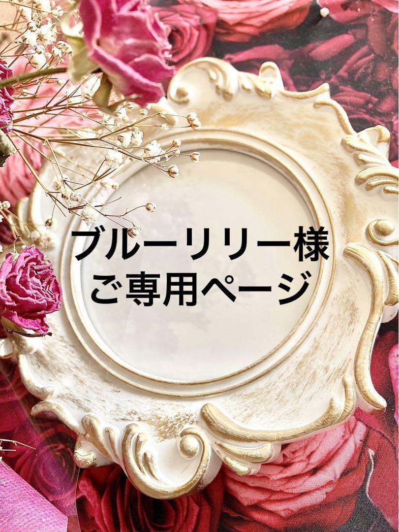 3／17  ブルーリリー様 ご専用ページです