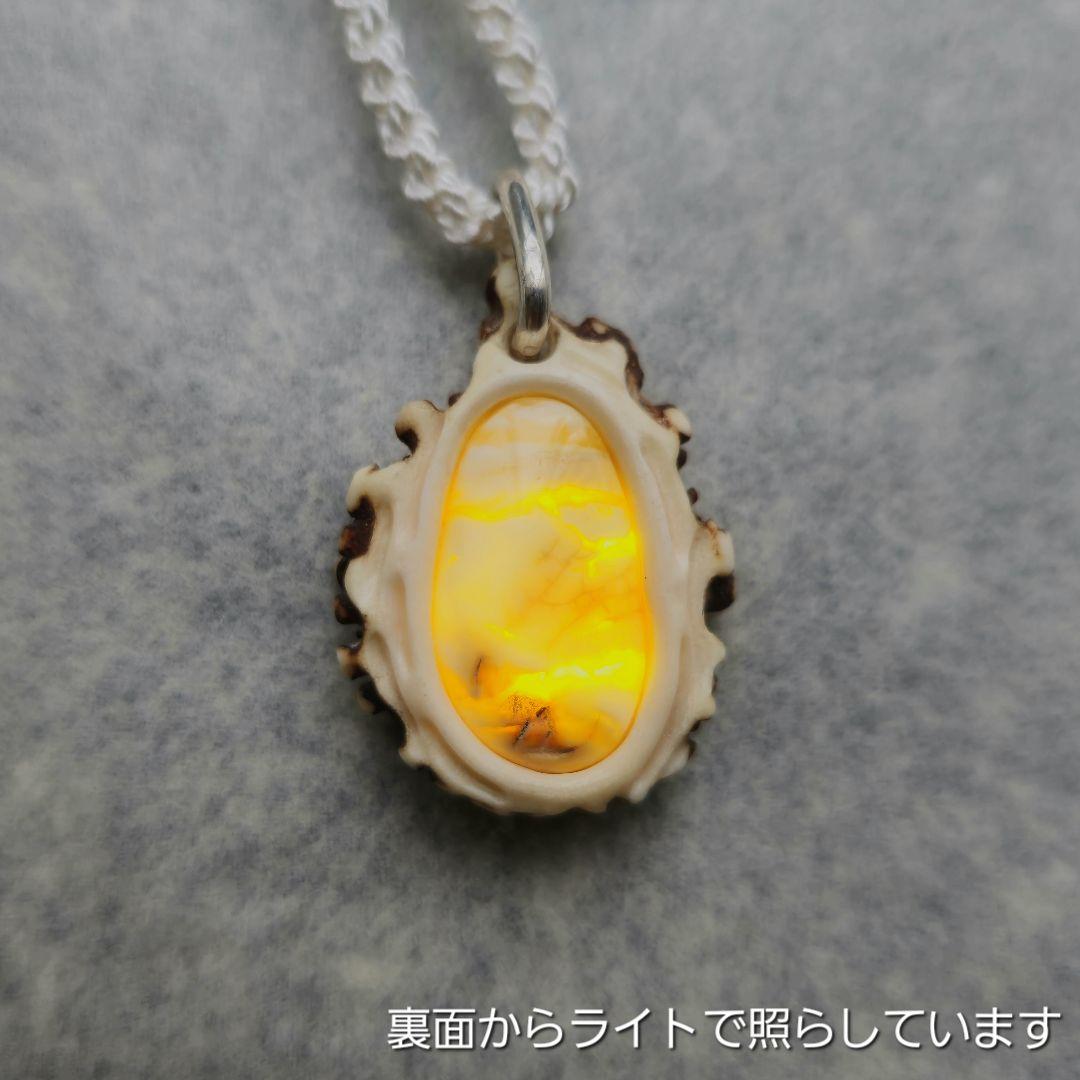鹿の角 ロイヤルアンバーのペンダント 画像5