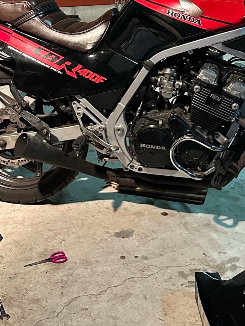 ヤシメガ初期 ヤシメガ 初期 35π - メルカリ