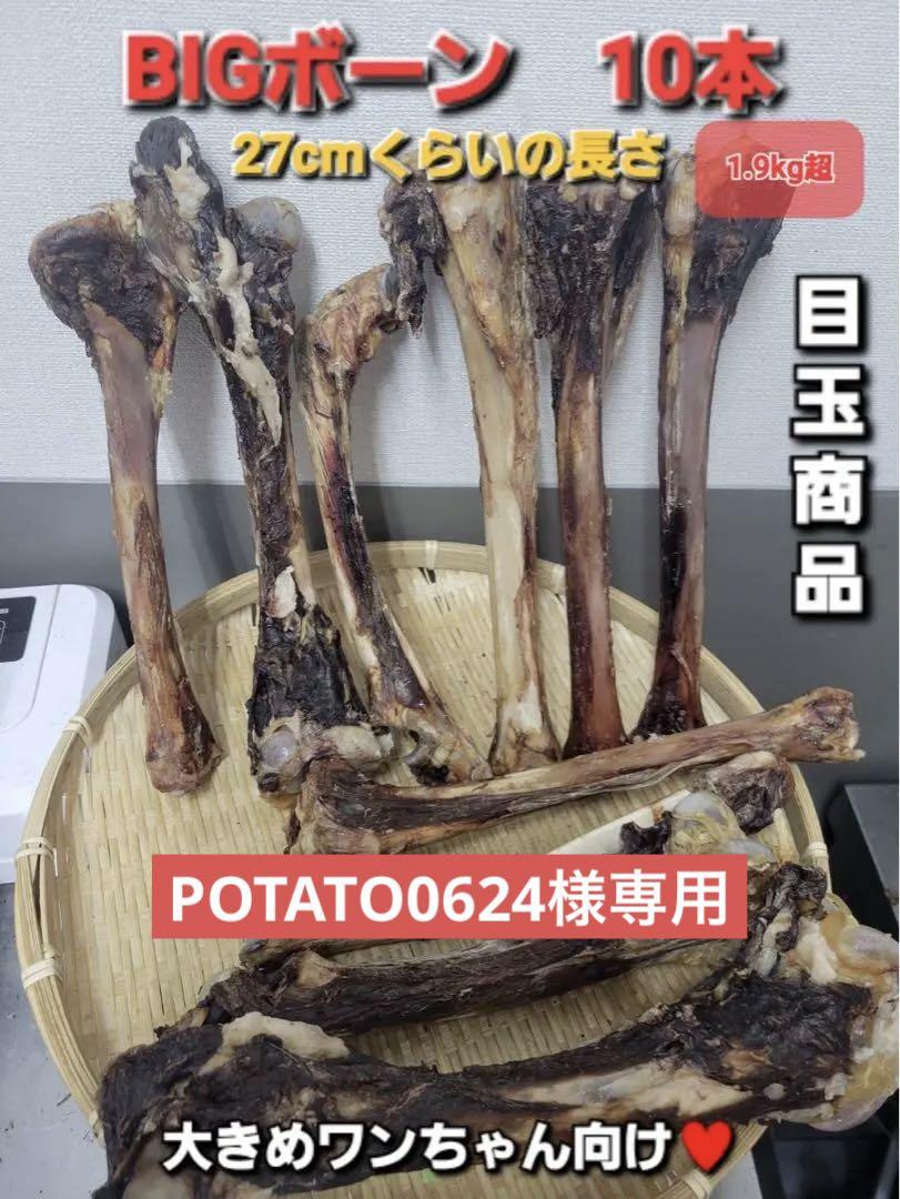 大型犬などに大きな骨【大盛り♪】人気の鹿ドライボーン　　多頭飼いさんに♪１０本 超でかい【大盛り♪】人気の鹿ドライボーン多頭飼いさんに♪10本