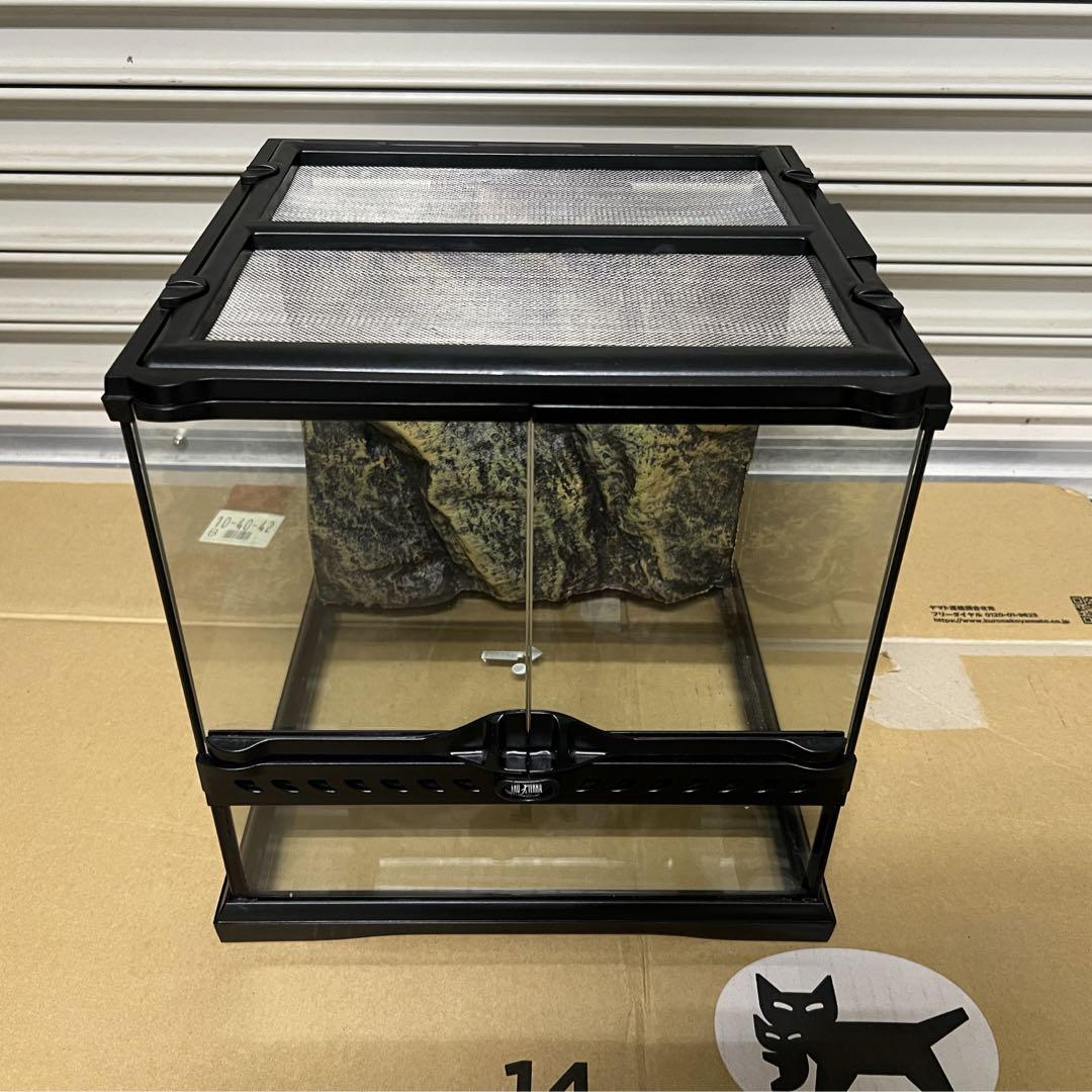 セール中！無加工15本セット小サイズ白ヘビの抜け殻415 セール中！無加工15本セット小サイズ白ヘビの抜け殻415