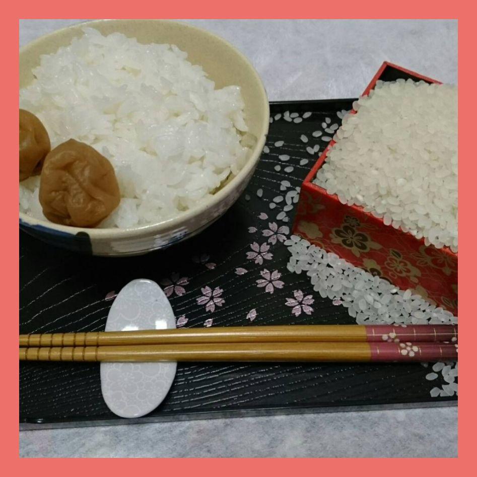 ひろきんぐ様 玄米 R6 新米 北海道産 ゆめぴりか 10kg 送料無料 贈答品