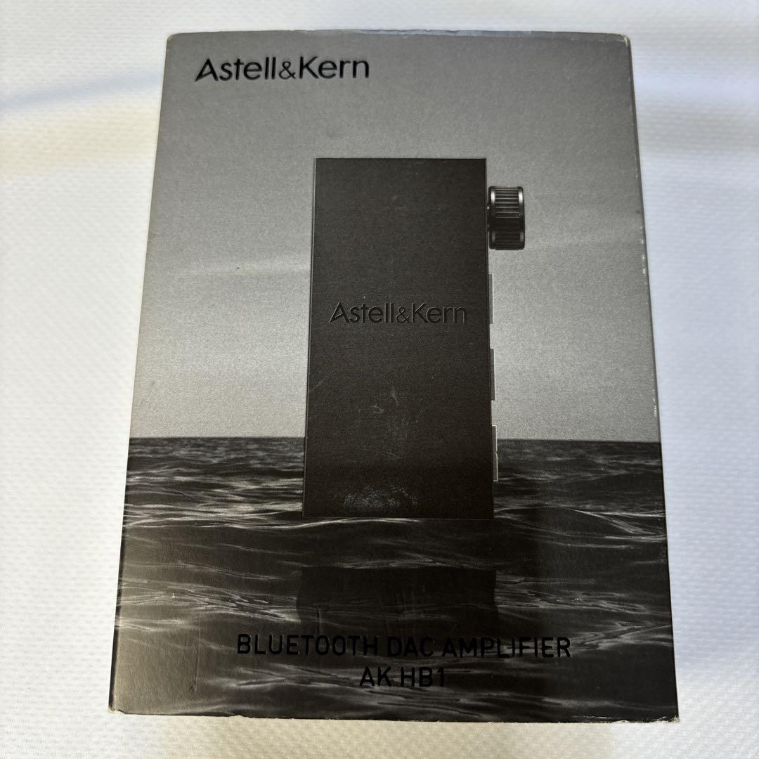 Astell&kern AK HB1 (ケース付き)