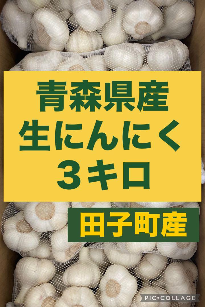 青森県産 生にんにく 3キロ