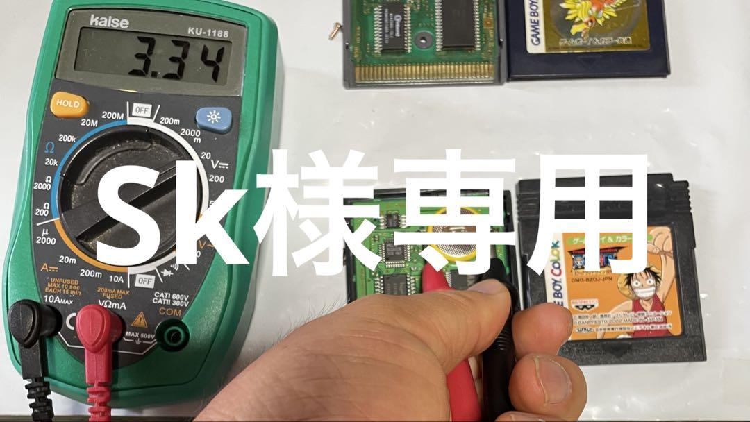 その他 Sk