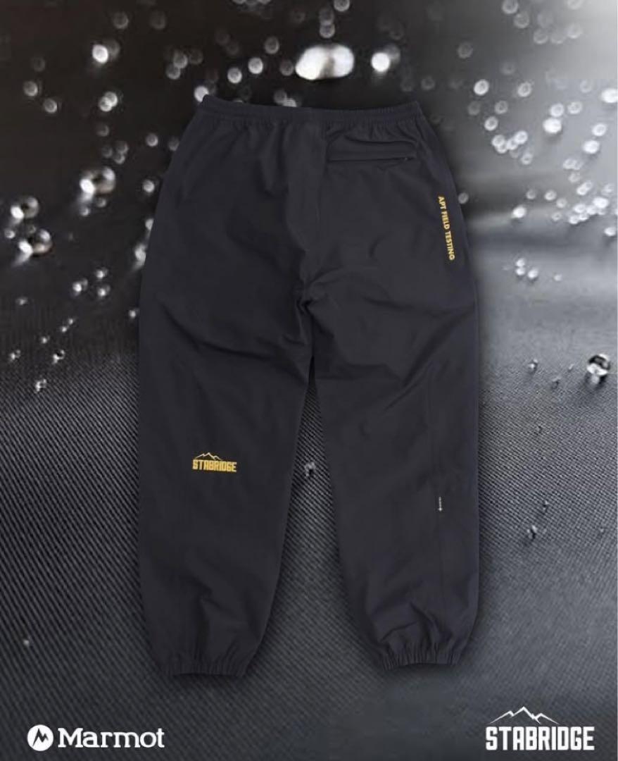 L: Stabridge GORE-TEX 3L ALPINIST PANTS