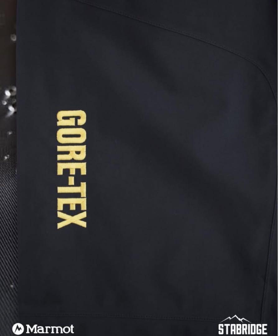 L: Stabridge GORE-TEX 3L ALPINIST PANTS
