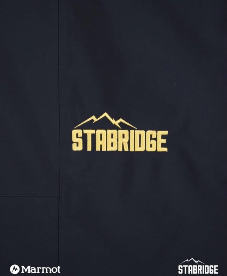 L: Stabridge GORE-TEX 3L ALPINIST PANTS
