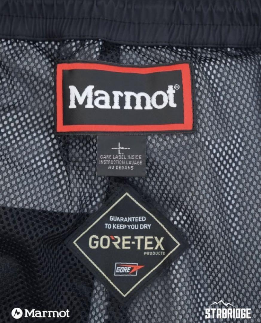 L: Stabridge GORE-TEX 3L ALPINIST PANTS