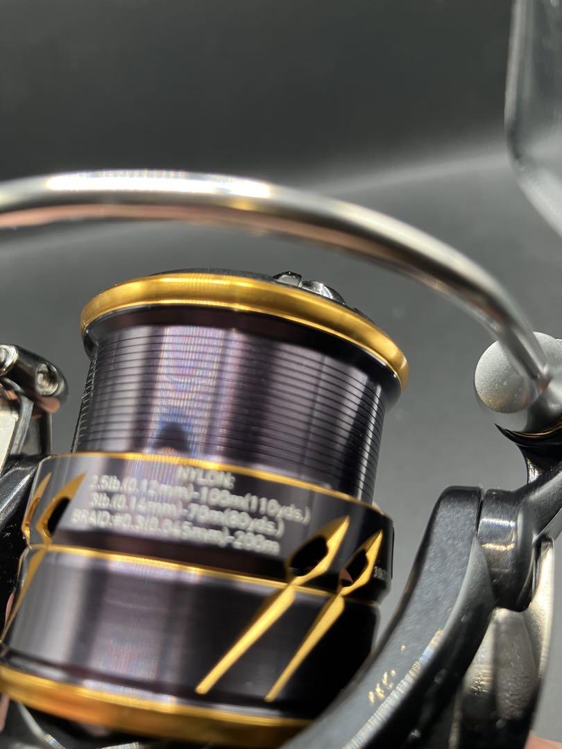 りょうすけダイワ 21 カルディア FC LT 1000S
