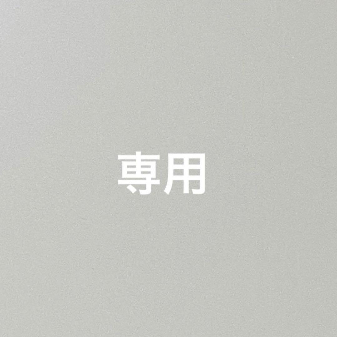 専用ページ　200