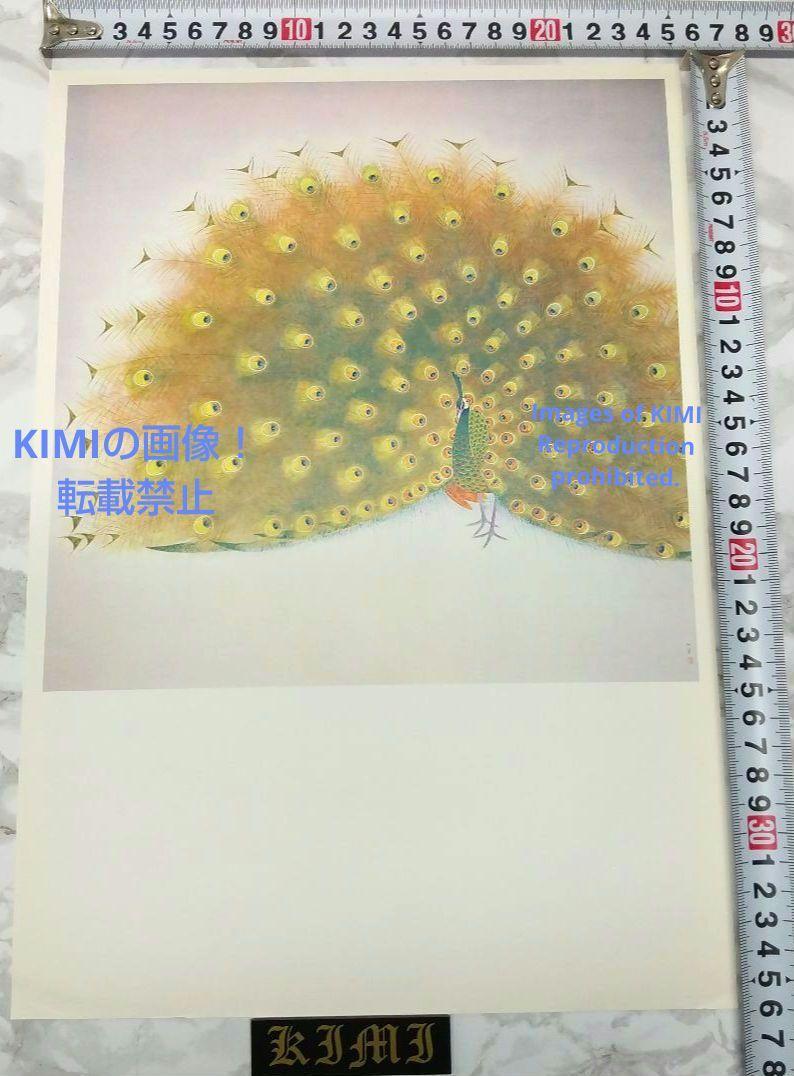 ポスター 孔雀 上村松篁 Poster Peacock Shoko Uemura 画像8