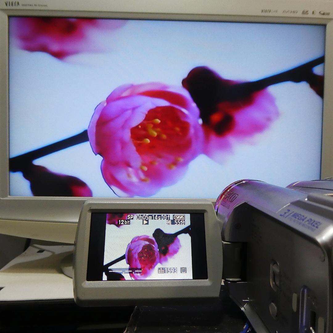 動作良好 パナソニックNV-GS300 MiniDVビデオ デジタルダビングに