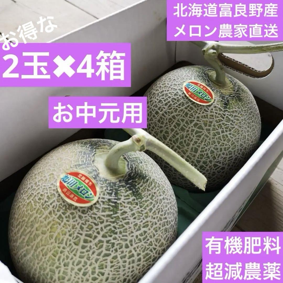 北海道 富良野 メロン赤肉1.2kg超✖︎2玉✖︎4箱有機肥料 超減農薬(13)