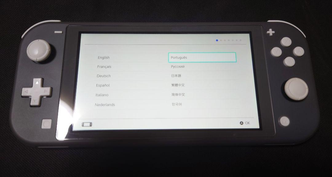 Nintendo Switch Lite 本体 充電器付き