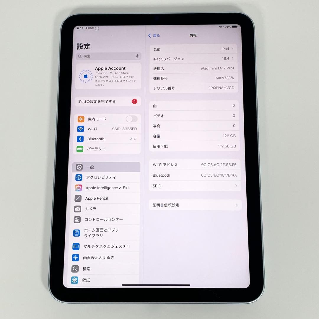 iPad mini