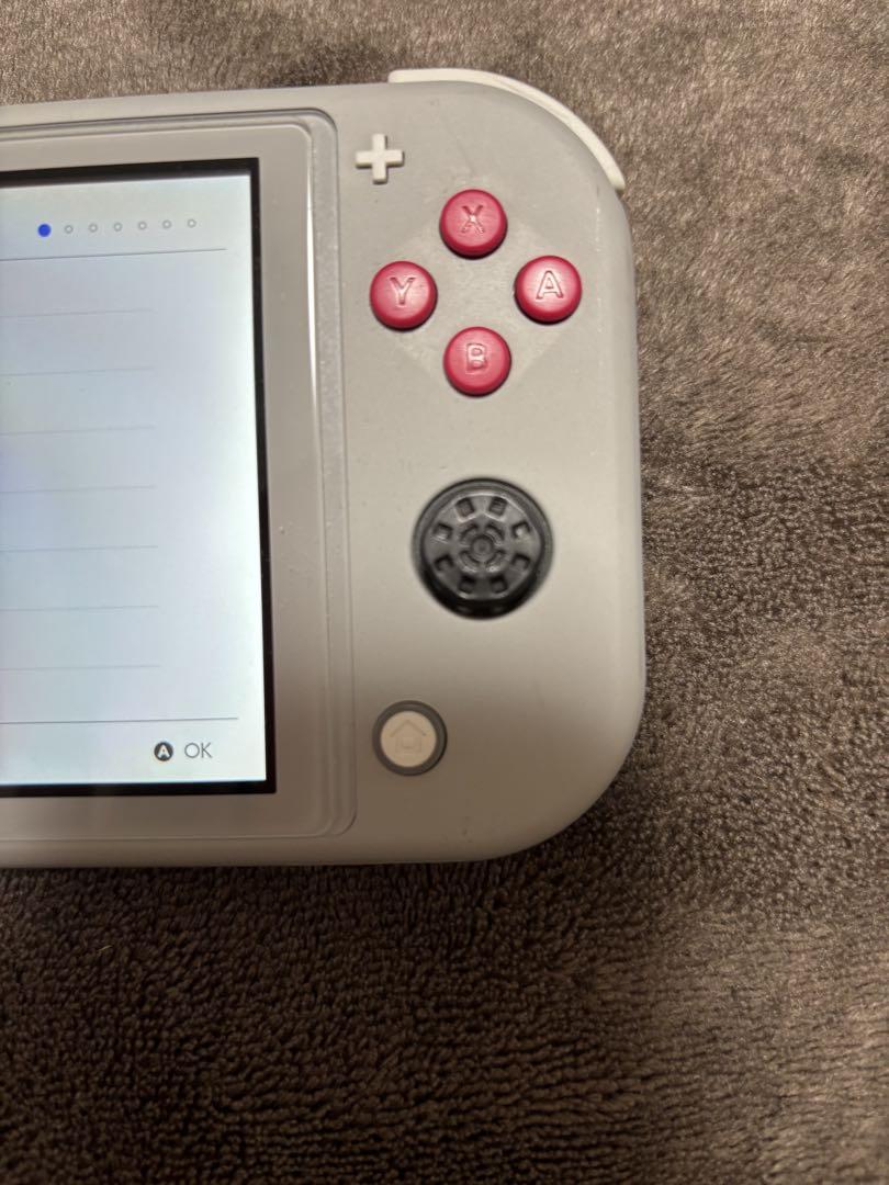 お値下げ可能！]Nintendo Switch ライト 本体 ジャンク品 - メルカリ