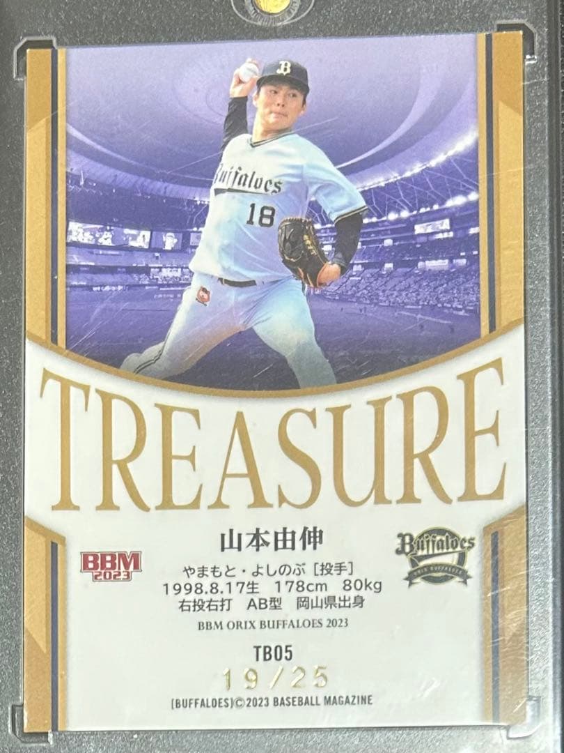 19|25目立った傷や汚れなし