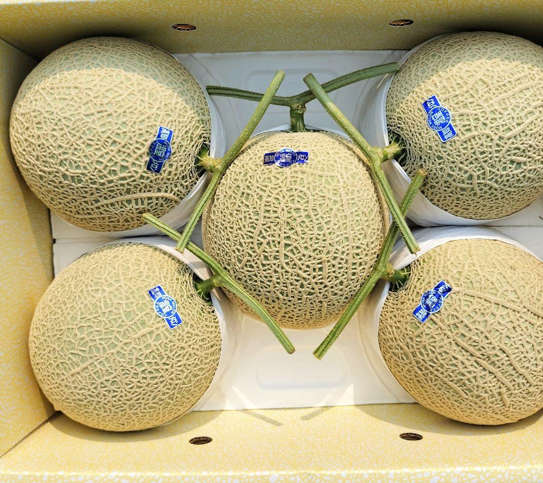 超特大!!!! 北海道富良野メロン 品種：ティアラ 3玉8キロ 超特大!!!! 北海道富良野メロン 品種：ティアラ 3玉8キロ 果物