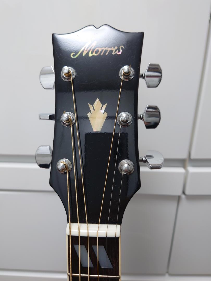Morris / WH-25 ハミングバード 日本製 - HR/HMギター専門店