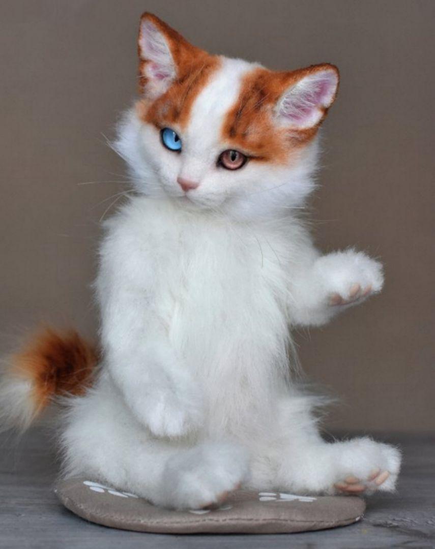 ブランドのギフト リアル 子猫 ぬいぐるみ 作家 テディベア ブライス 羊毛フェルト ぬいぐるみ