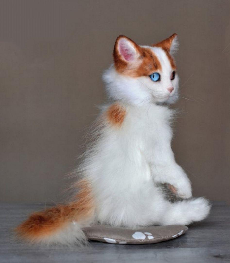 《最終お値下げ》作家 ぬいぐるみ 子猫 リアル テディベア ブライス 猫 海外