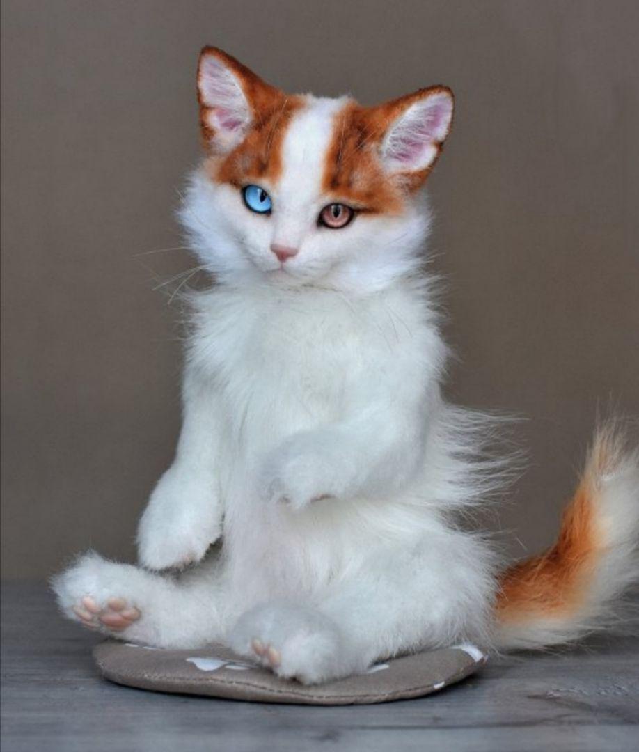 《最終お値下げ》作家 ぬいぐるみ 子猫 リアル テディベア ブライス 猫 海外