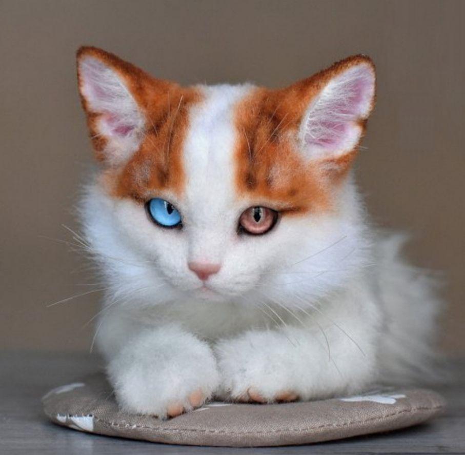 《最終お値下げ》作家 ぬいぐるみ 子猫 リアル テディベア ブライス 猫 海外