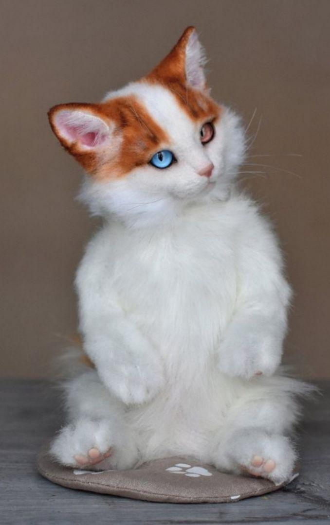 《最終お値下げ》作家 ぬいぐるみ 子猫 リアル テディベア ブライス 猫 海外