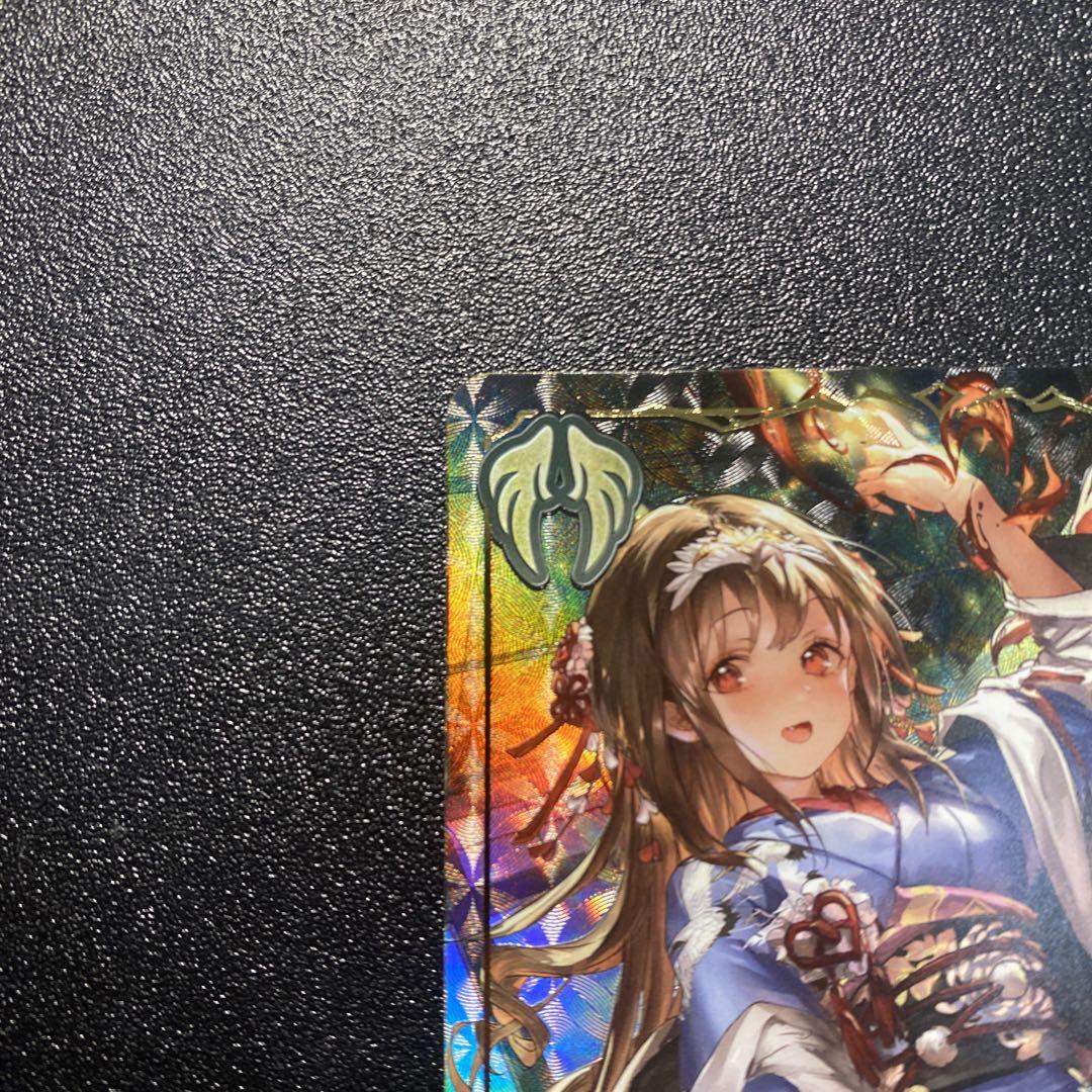 異端なる祝祭・メルコット　リーダー エボルヴ 異端なる祝祭・メルコット リーダー パラレル | Shop