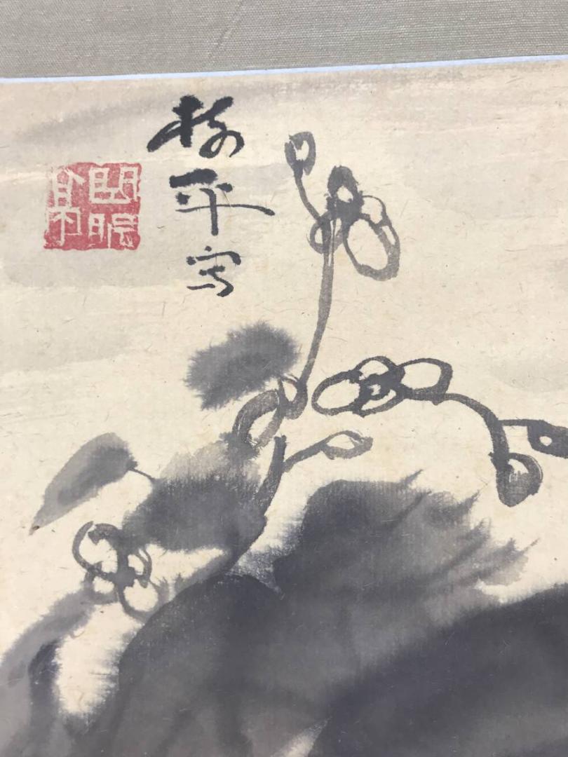 要樹平/秋海棠/蜻蛉図/トンボ図/花鳥図/横物/掛軸/名家伝来/AC-581 要樹平/秋海棠/蜻蛉図/トンボ図/花鳥図/横物/掛軸/名家伝来/AC-