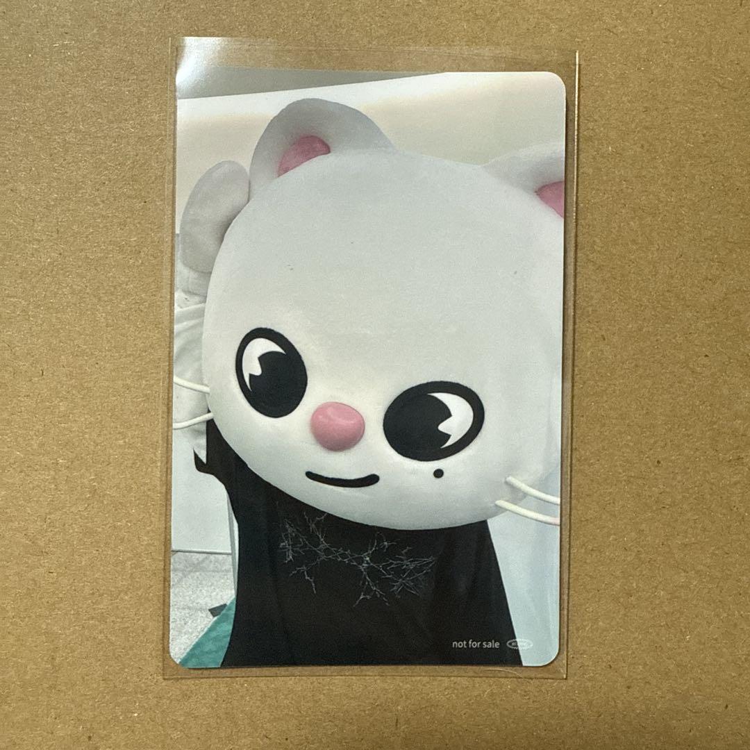 straykids 静岡 エコパ タワレコ特典 ヒョンジン skzoo スキズ