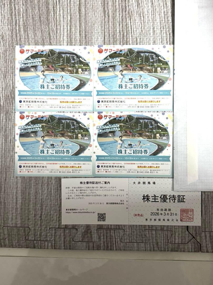 【匿名配送】サマーランド　株主優待券　4枚＋おまけ